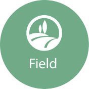 agriculture erp field